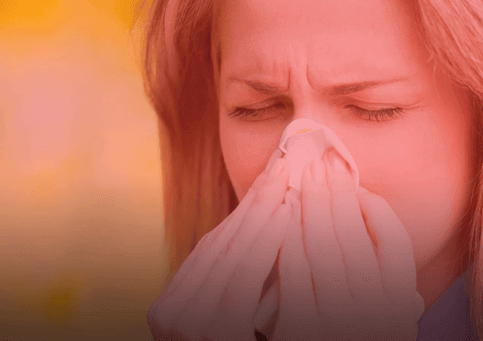 What is Allergy Medicine/Testing?